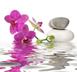 Fotožaluzie orchidej nad vodou s oblázky 33612034